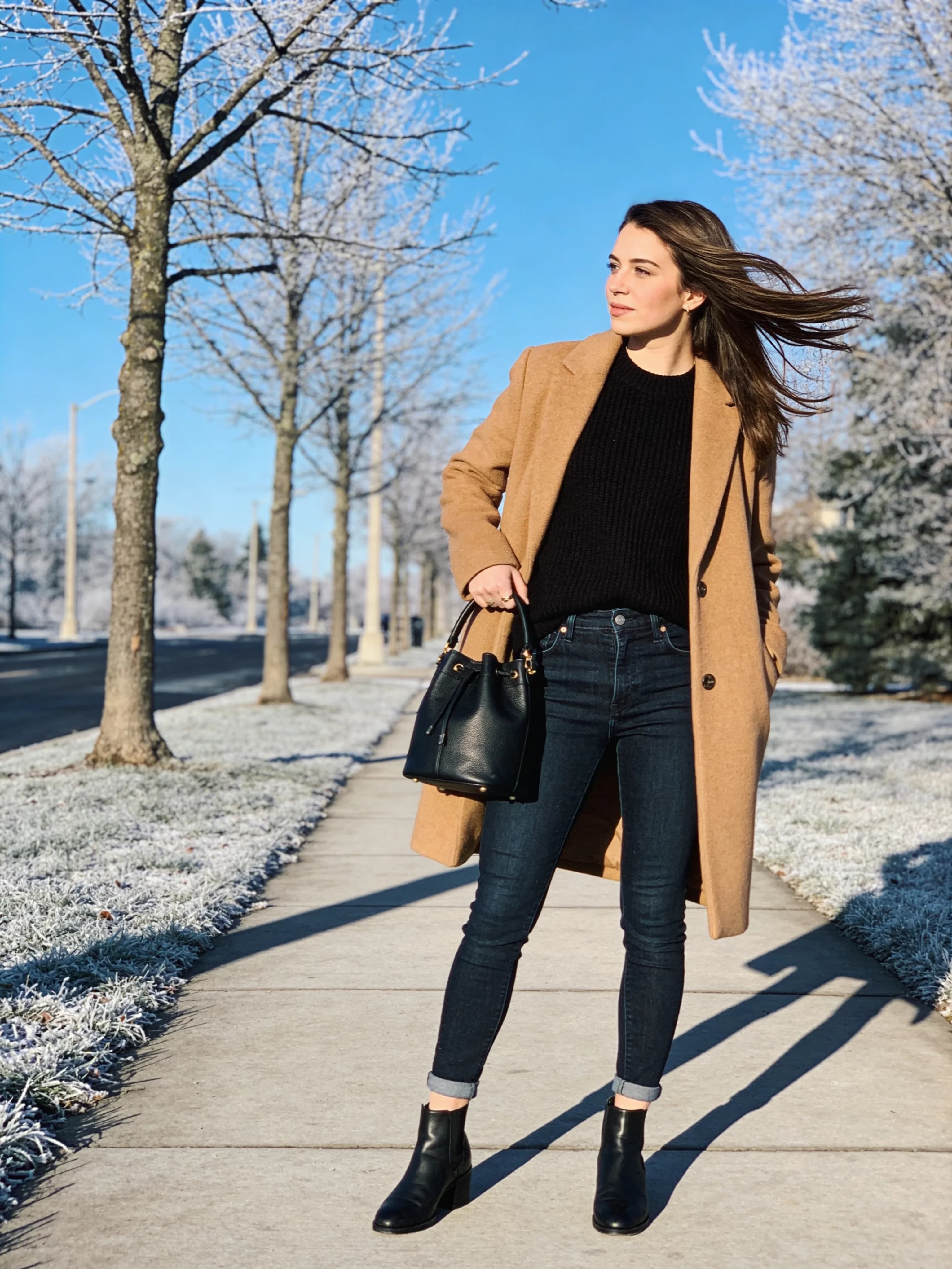 Camel and the Bucket Bag